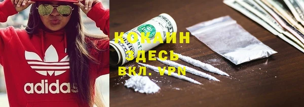 индика Армянск