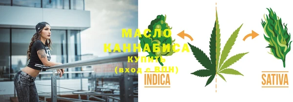 индика Армянск