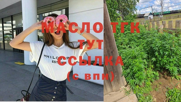 индика Армянск