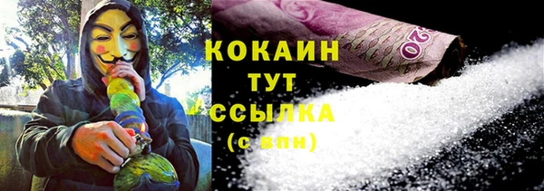 индика Армянск