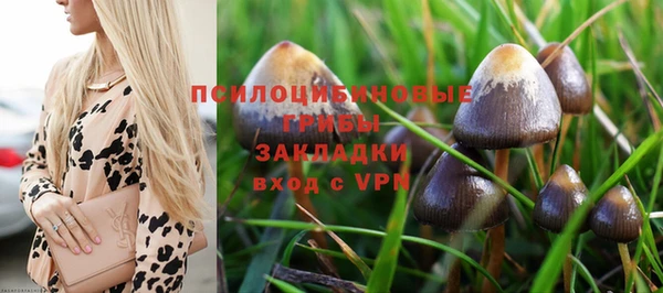индика Армянск