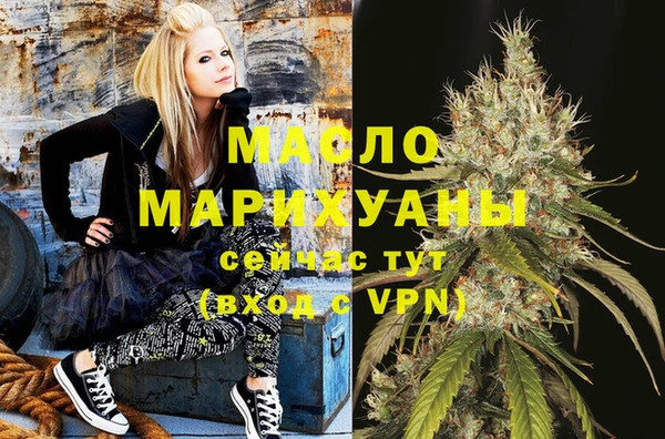 индика Армянск